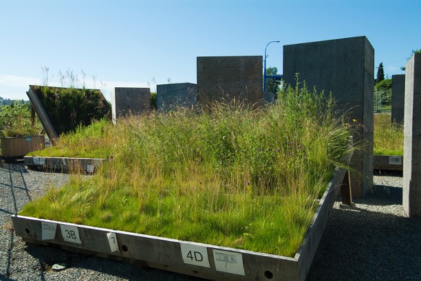 Plots with grasses growing at various slopes