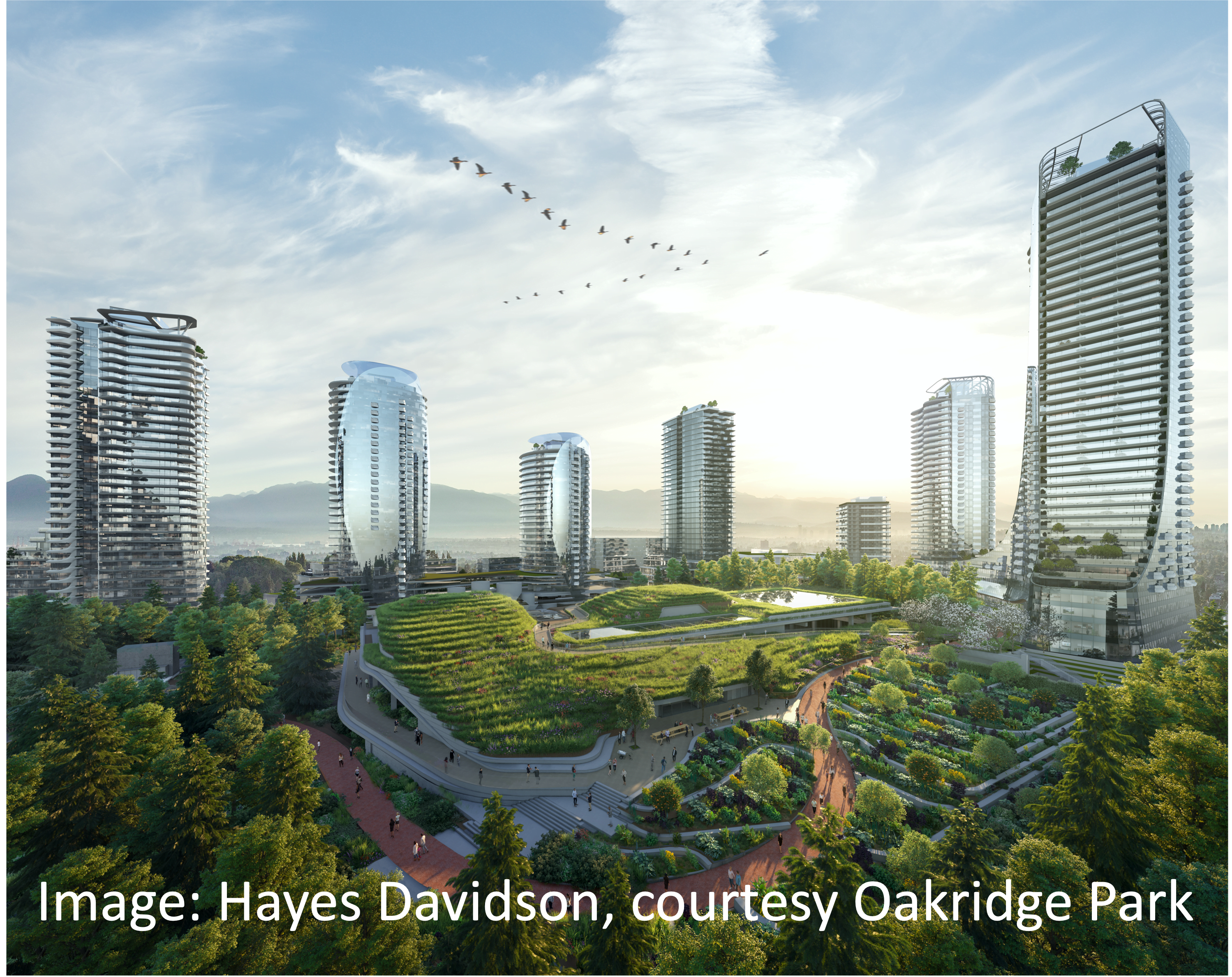 Huge green roof surrounded by towers