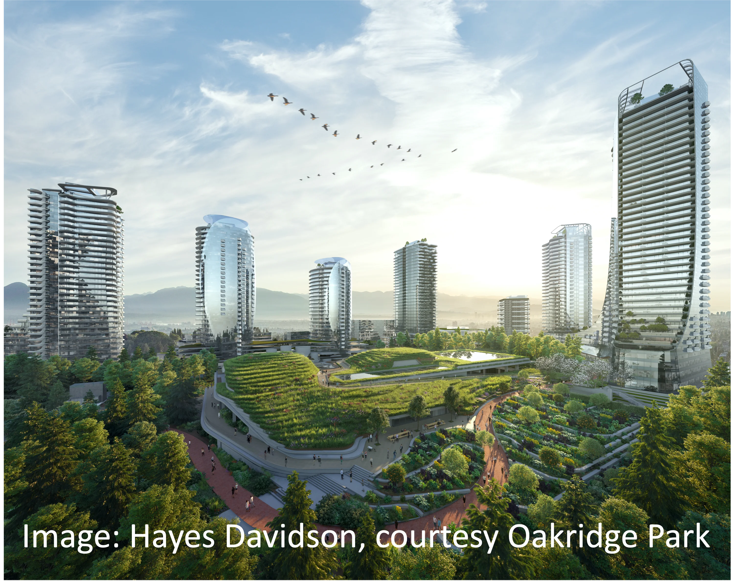 Huge green roof surrounded by towers